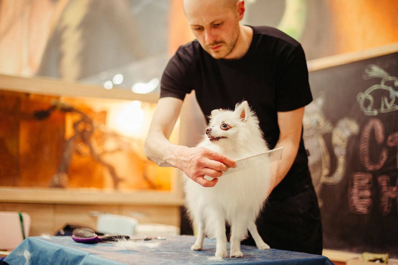 Benefits of smart solutions for your pet-grooming business